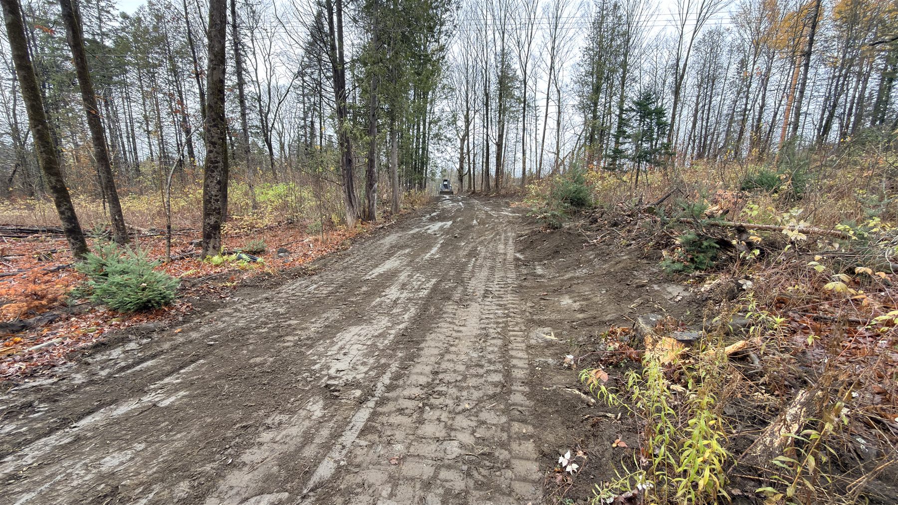 Access road prepared through a wooded property