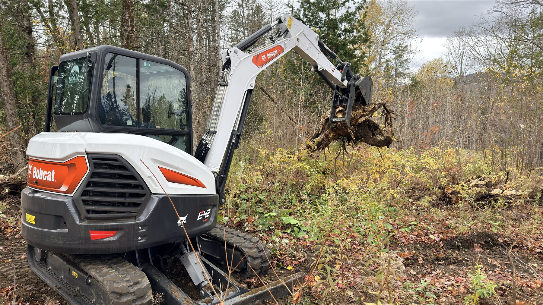 Excavator removing a stump from a wooded property